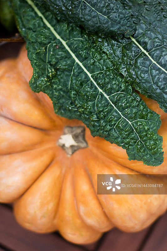 橙色南瓜和黑色羽衣甘蓝叶图片素材