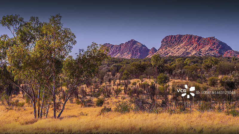 澳大利亚中部艾丽斯斯普林斯附近的西麦克唐奈山脉图片素材