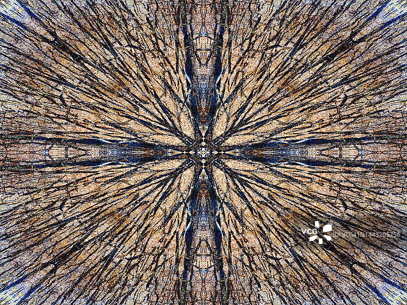 牛津郡拉德利湖的枯树残桩抽象视觉图片素材