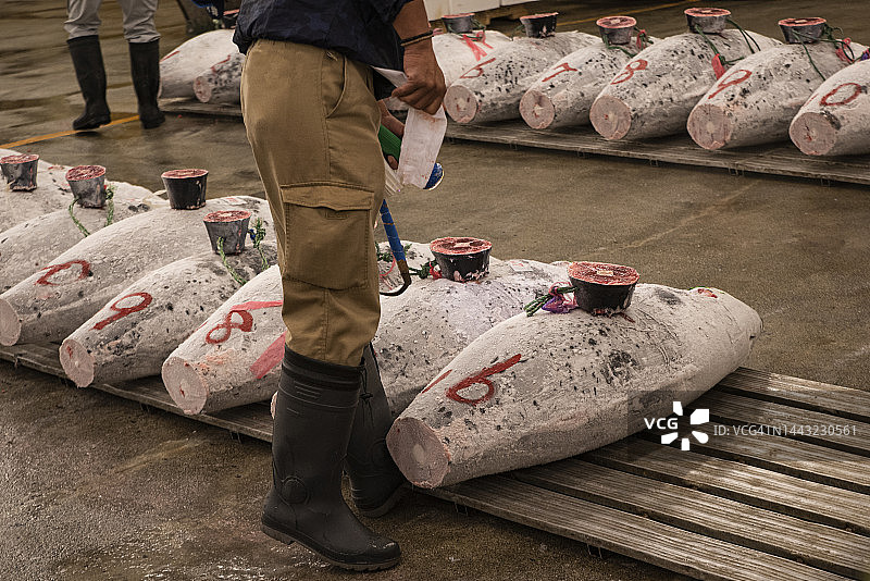 鱼市场图片素材