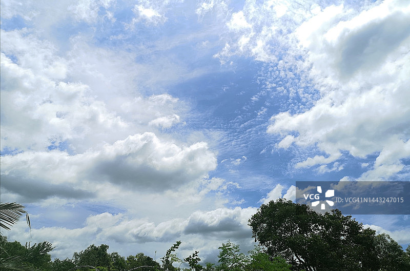 蓝天白云自然背景灌木树图片素材