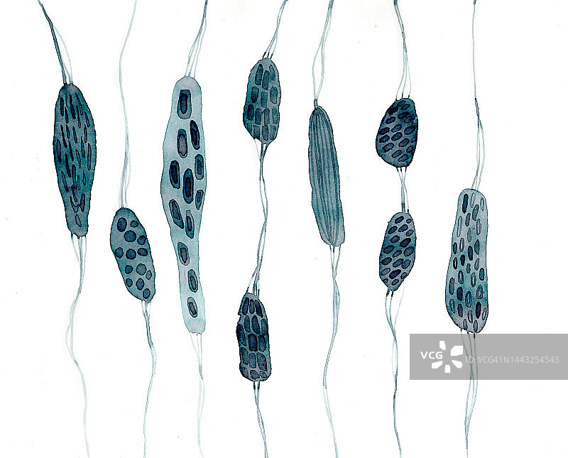 水彩抽象点状条纹插画图片素材