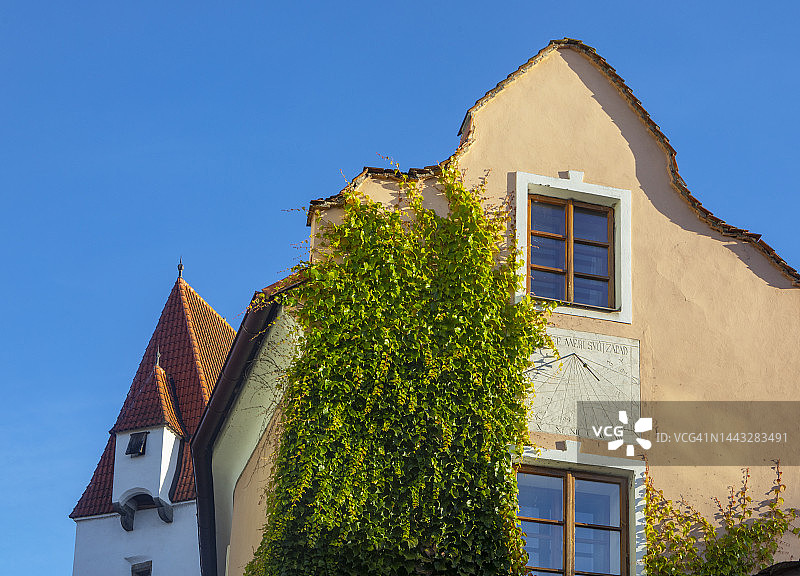 捷克布杰约维采老城常春藤覆盖房屋图片素材