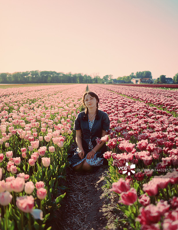 在荷兰郁金香花田里的女人图片素材