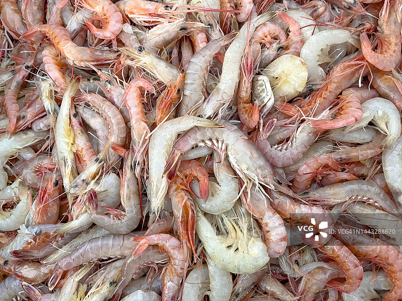 新鲜海虾图片素材