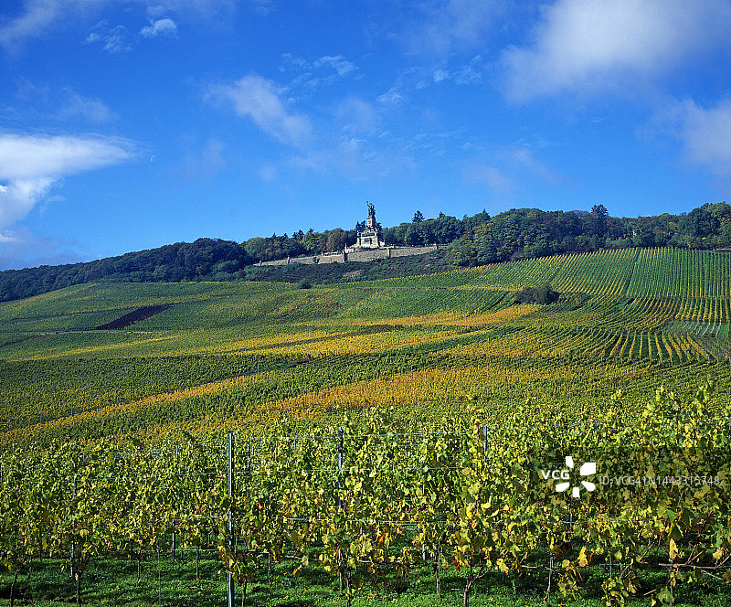 吕德斯海姆莱茵河畔的葡萄园和尼德瓦尔德纪念碑图片素材