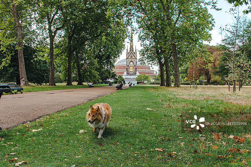 肯辛顿花园的夏日图片素材
