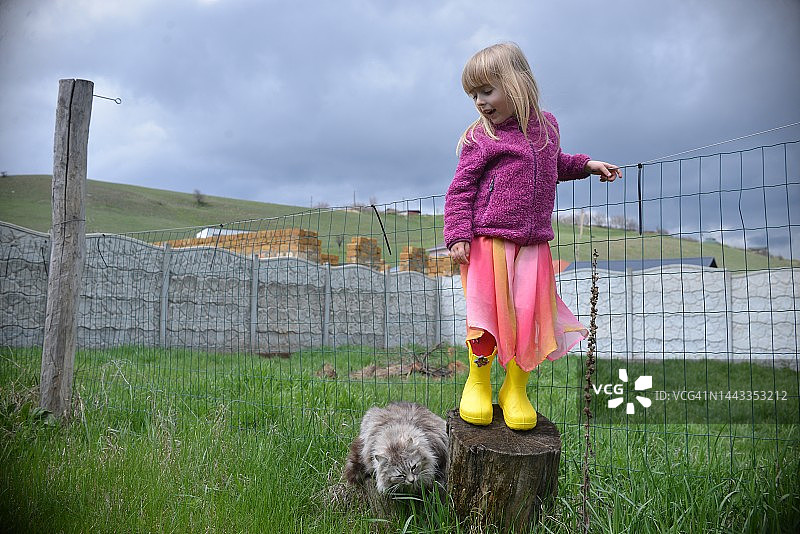 孩子们带着灰色蓬松的猫在院子里散步图片素材