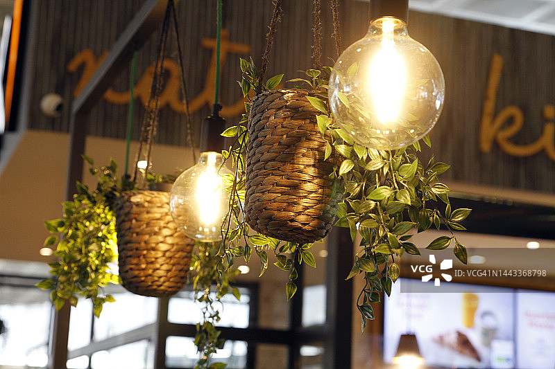 一排悬挂的植物和灯图片素材