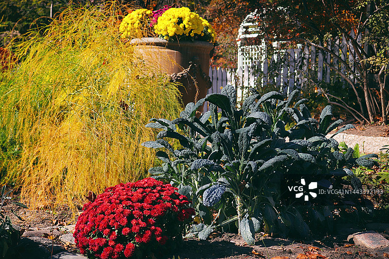 秋季奇观花园图片素材