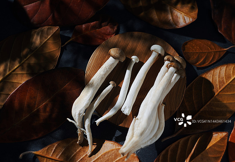 有机食用蘑菇和秋季的干树叶图片素材