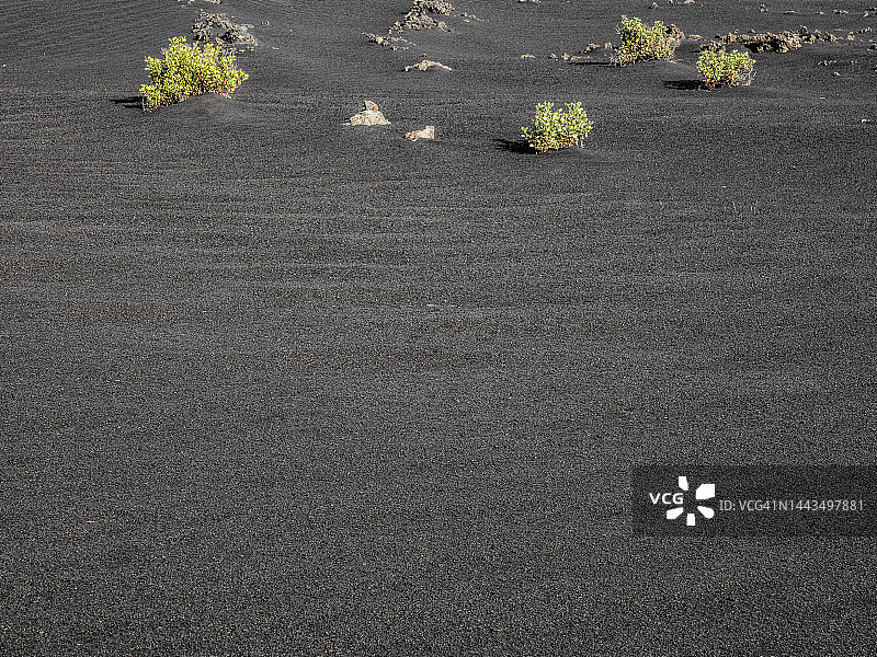帕尔马加那利岛火山灰覆盖景观图片素材