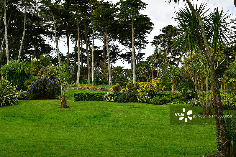 巴兹岛上的异国情调花园图片素材