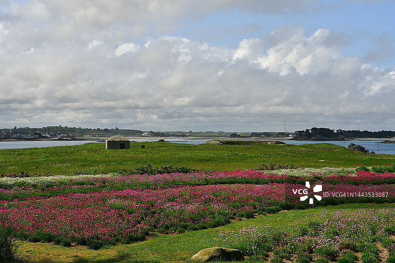 巴兹岛上的异国情调花园图片素材