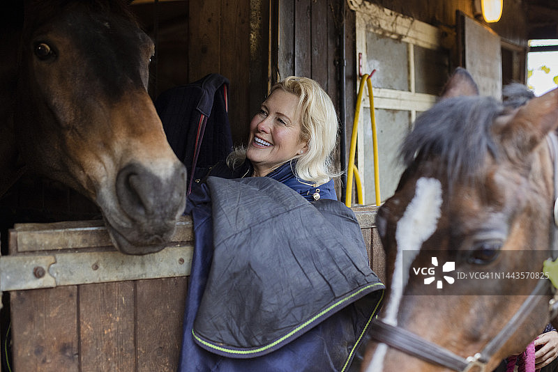 马厩里的呵护图片素材
