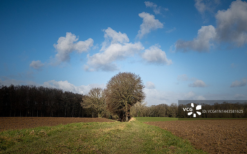 一月田园漫步图片素材