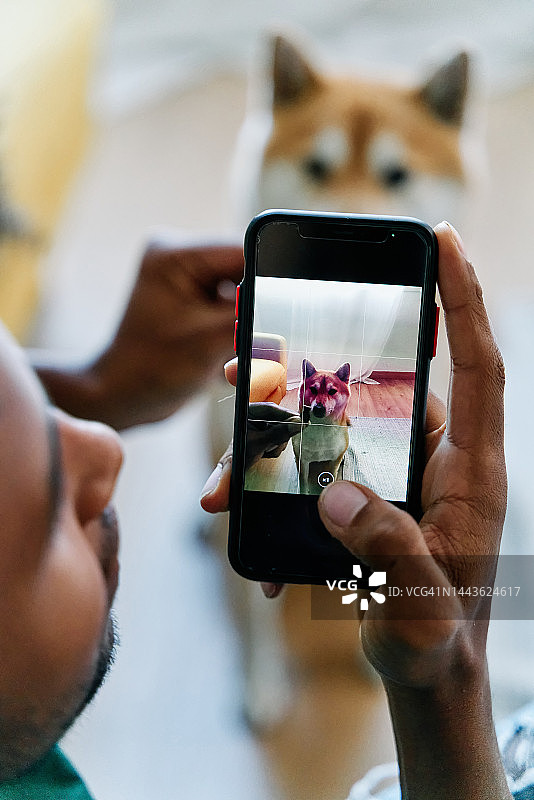 男子用手机给狗拍照，查看屏幕以获得最佳图像质量图片素材