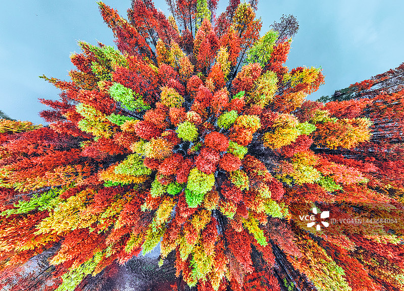 湖上秋季森林的航拍景色图片素材