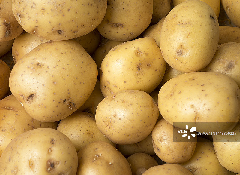蔬菜：马铃薯图片素材