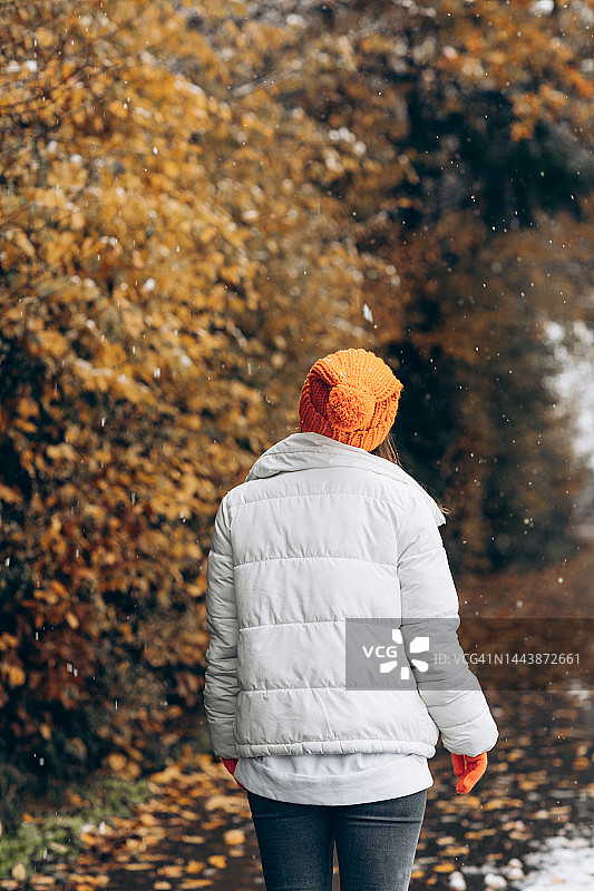 金色秋季的初雪图片素材