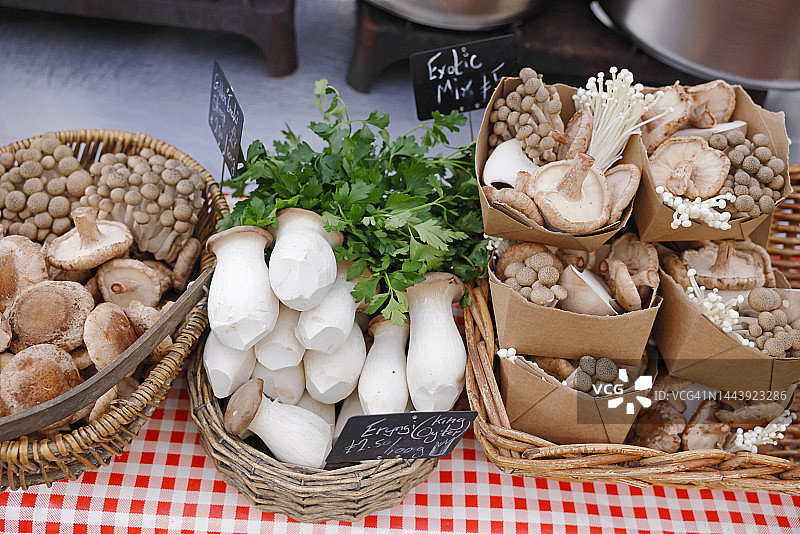 伦敦街头市场出售的生蘑菇图片素材