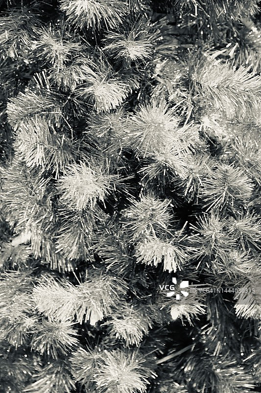 银色圣诞树全景图片素材