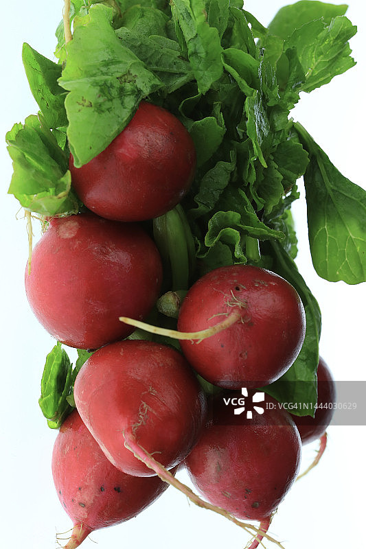 白色背景下的萝卜图片素材
