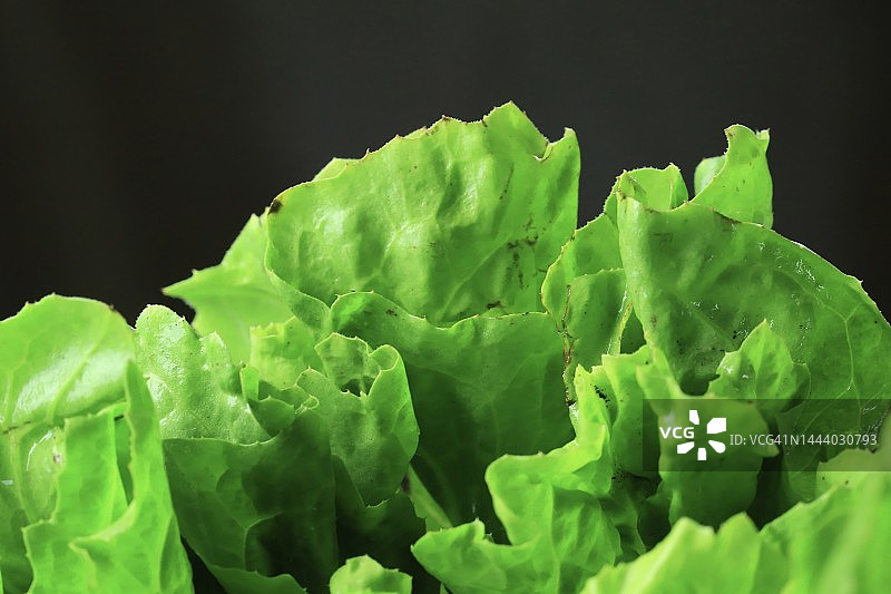 新鲜蔬菜：生菜图片素材