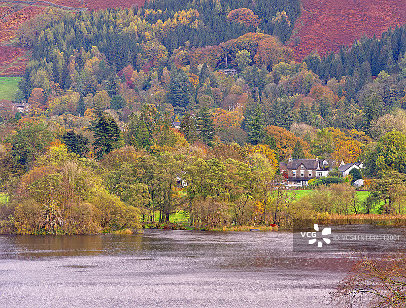 格拉斯米尔湖上的林地图片素材