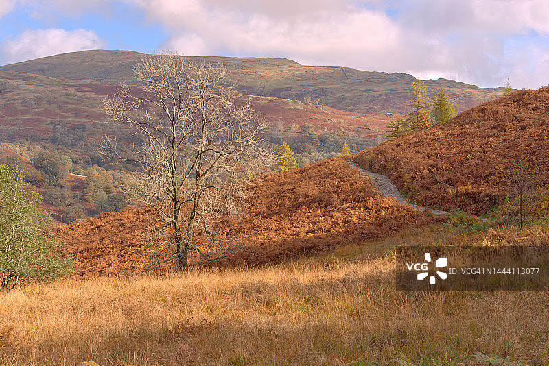 瑞达尔丘陵图片素材