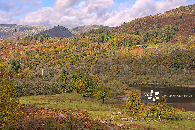 瑞达尔湖的林地图片素材