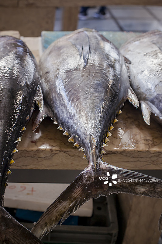 当地鱼市场的金枪鱼图片素材