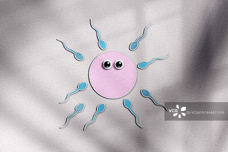 精子与卵细胞图片素材