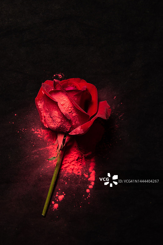 撒有彩色粉末的红色玫瑰花图片素材