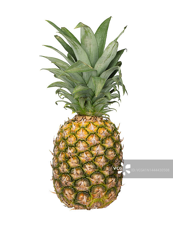 白色背景下的菠萝图片素材