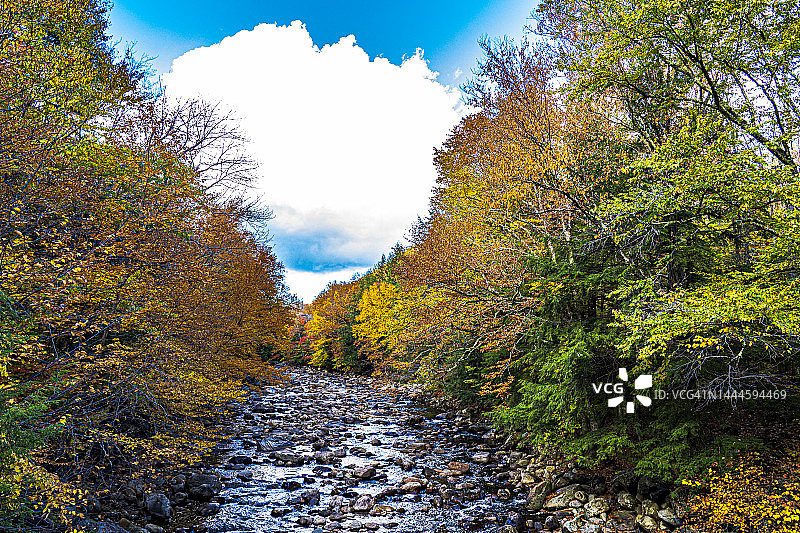 阿迪朗达克山秋色中的小溪图片素材