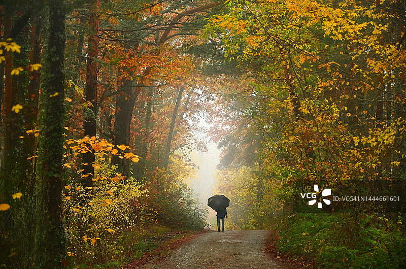 秋日意象：孤独的男人在塞哥维亚的拉格兰哈的圣伊尔德丰索雨中漫步图片素材