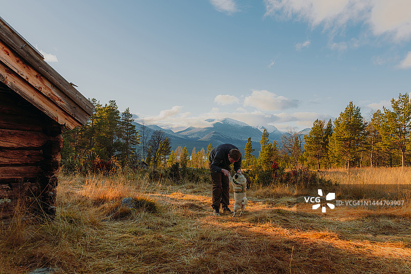 在挪威山间田园诗般的日落时分，男子与狗玩耍图片素材