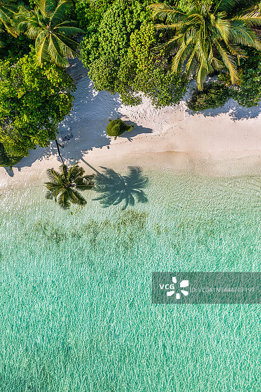 碧绿海水和棕榈树的白色沙滩俯视图，航拍无人机拍摄。壮丽的自然风光，阳光明媚的泻湖海湾，平静宜人的天气图片素材