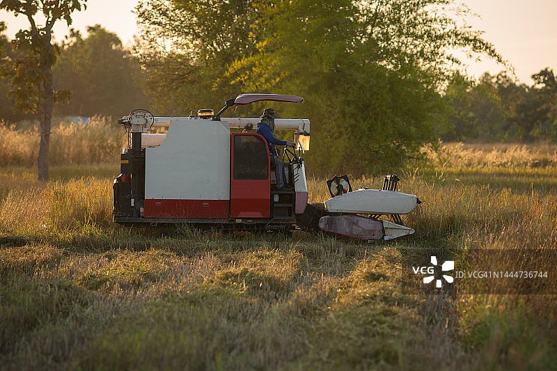 联合收割机在稻田中收割水稻图片素材
