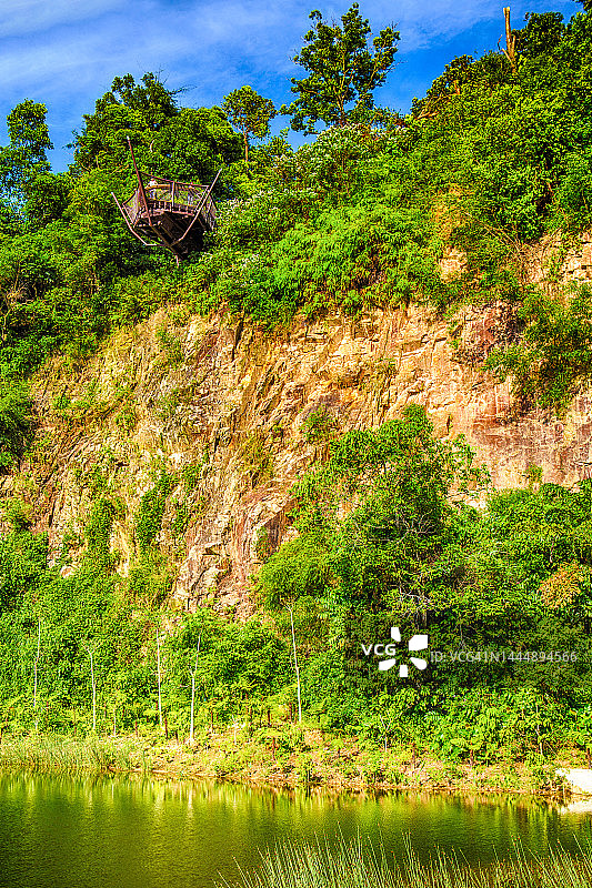 新加坡武吉知马自然保护区图片素材