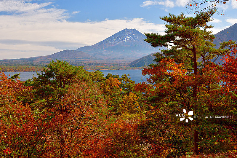 富士五湖地区本栖湖的秋叶颜色图片素材