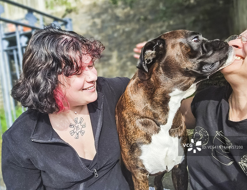 一家人在花园里享受快乐时光，狗狗亲吻老妇人，逗得大家开怀大笑图片素材