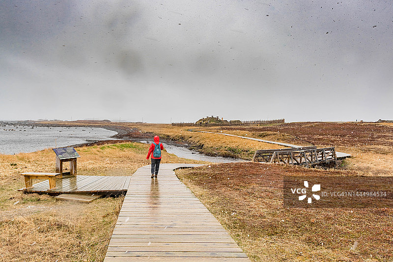 加拿大兰塞奥兹梅多斯国家历史遗址图片素材