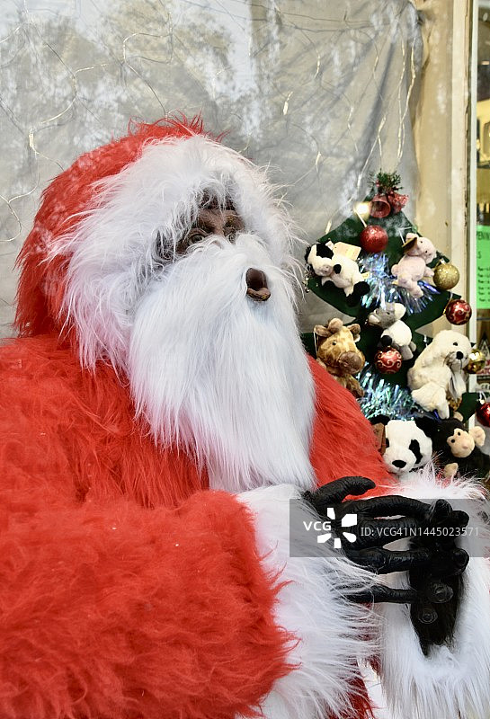 猿猴阿姨是圣诞老人图片素材