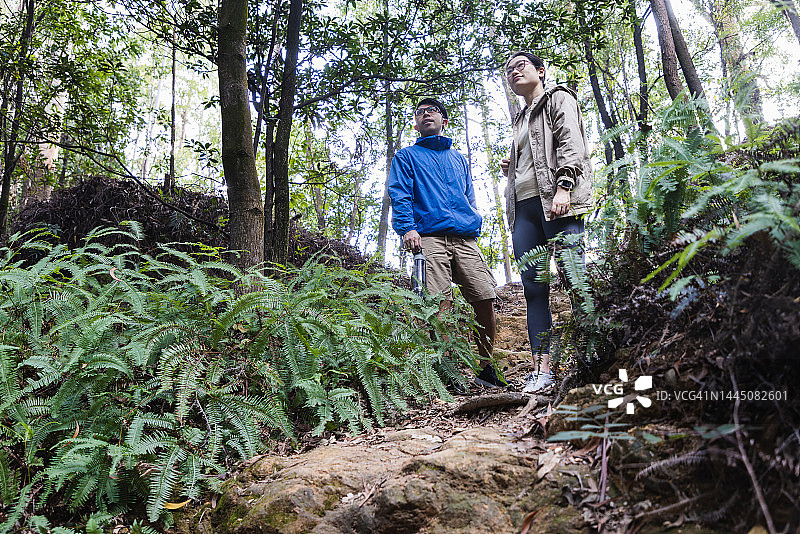亚洲夫妇徒步穿越森林小径图片素材