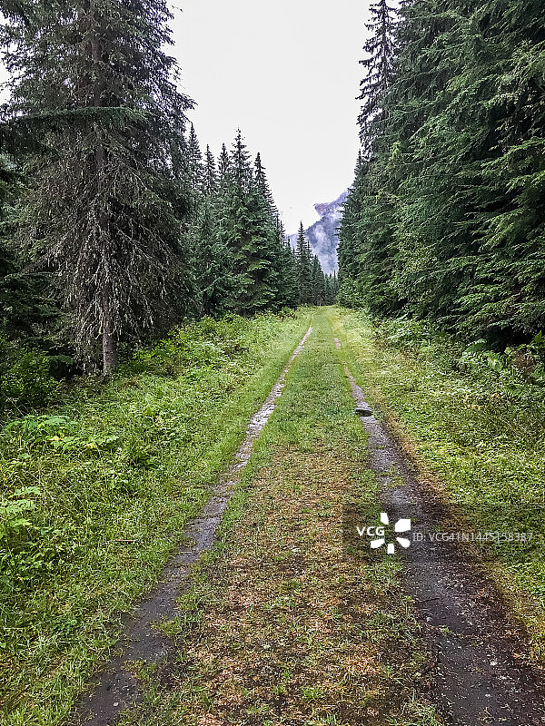通往唐纳德爵士小径的小路图片素材