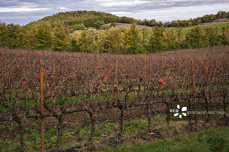 秋天的风景图片素材