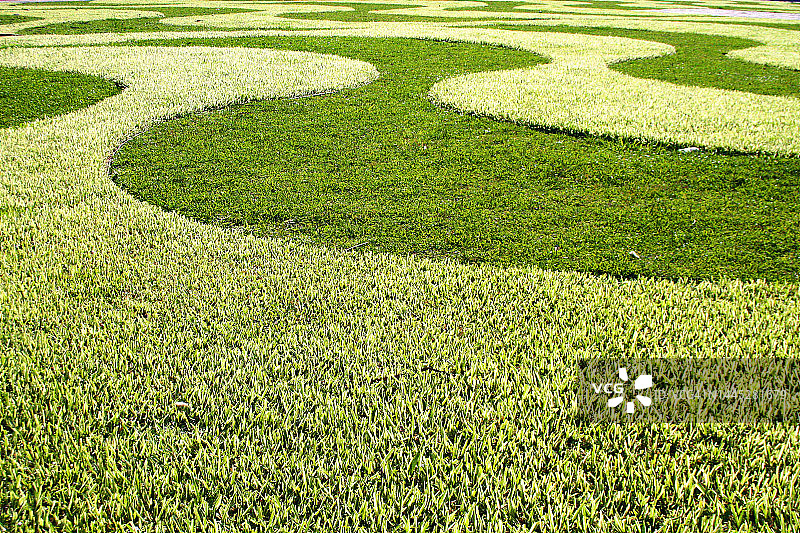 阳光下波浪形彩色草坪图片素材
