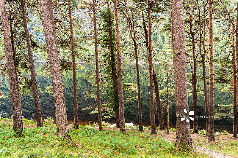 威克洛郡的格伦达洛湖图片素材